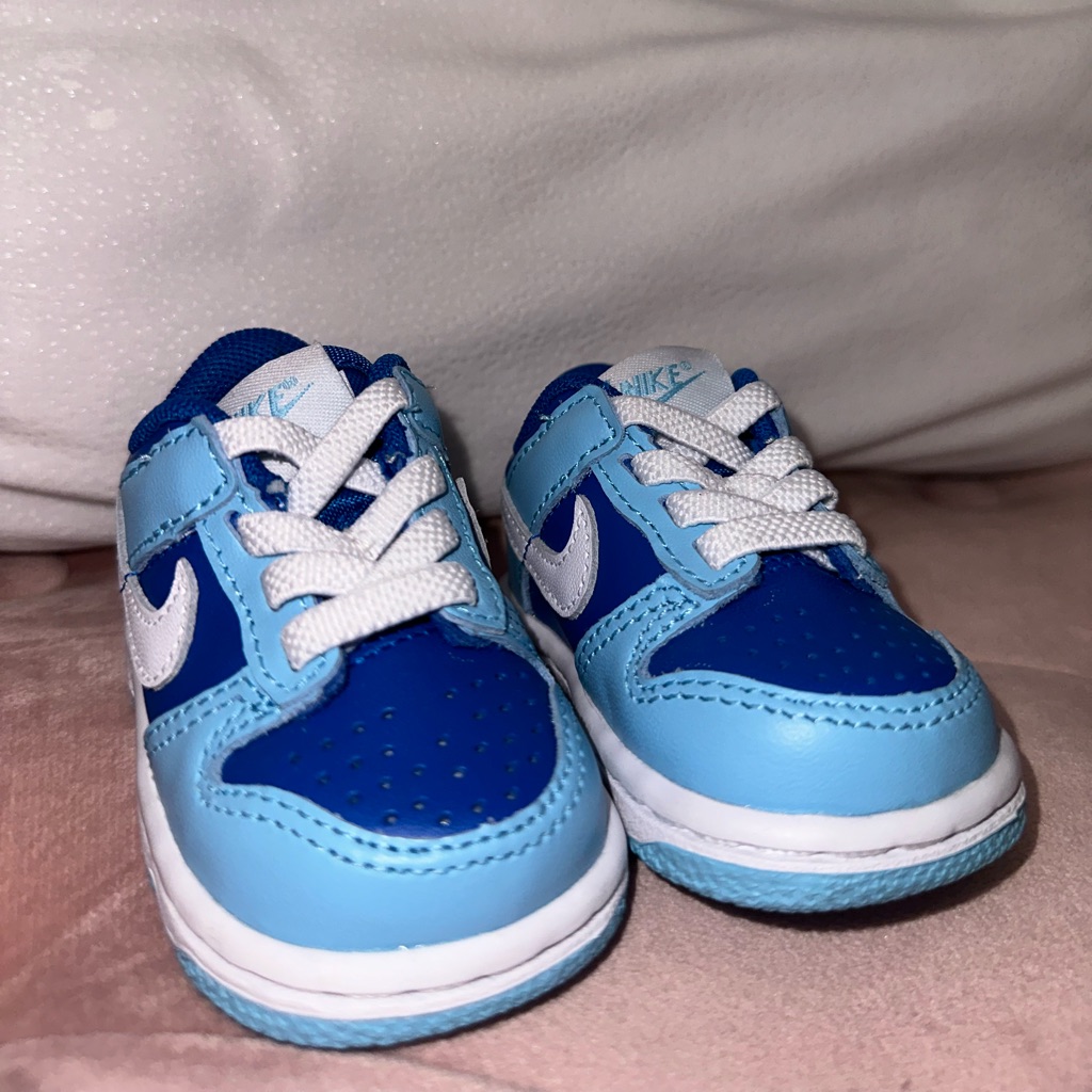 Nike Baby Dunks 2c